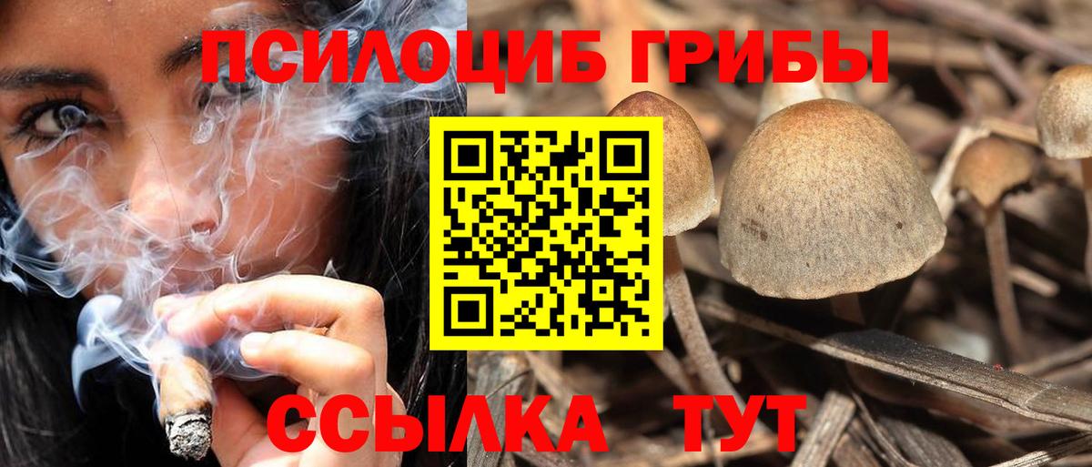 Псилоцибиновые грибы ЛСД  Вход с VPN  Малгобек 