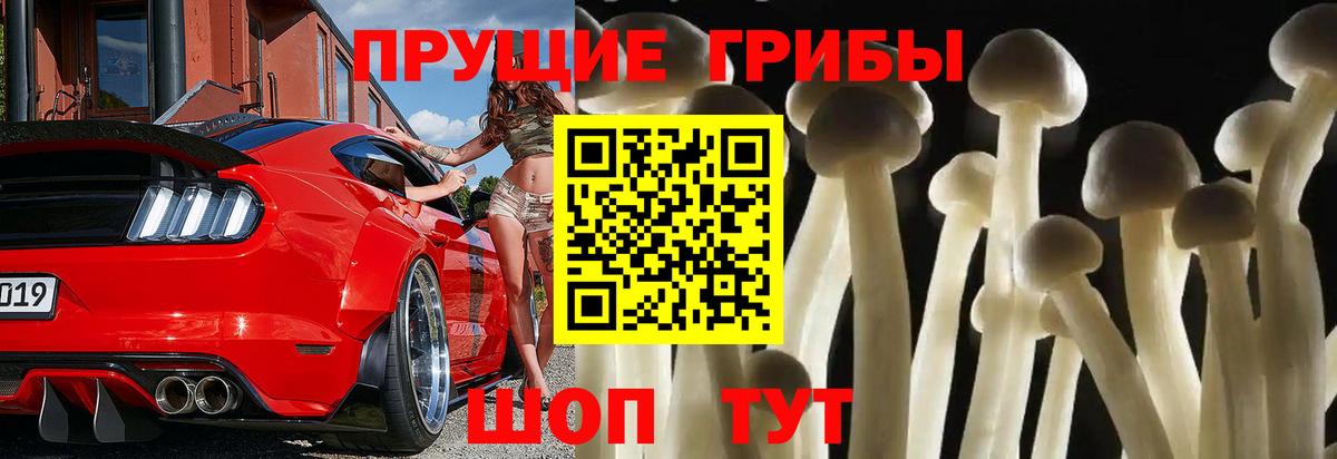 Псилоцибиновые грибы ЛСД Малгобек